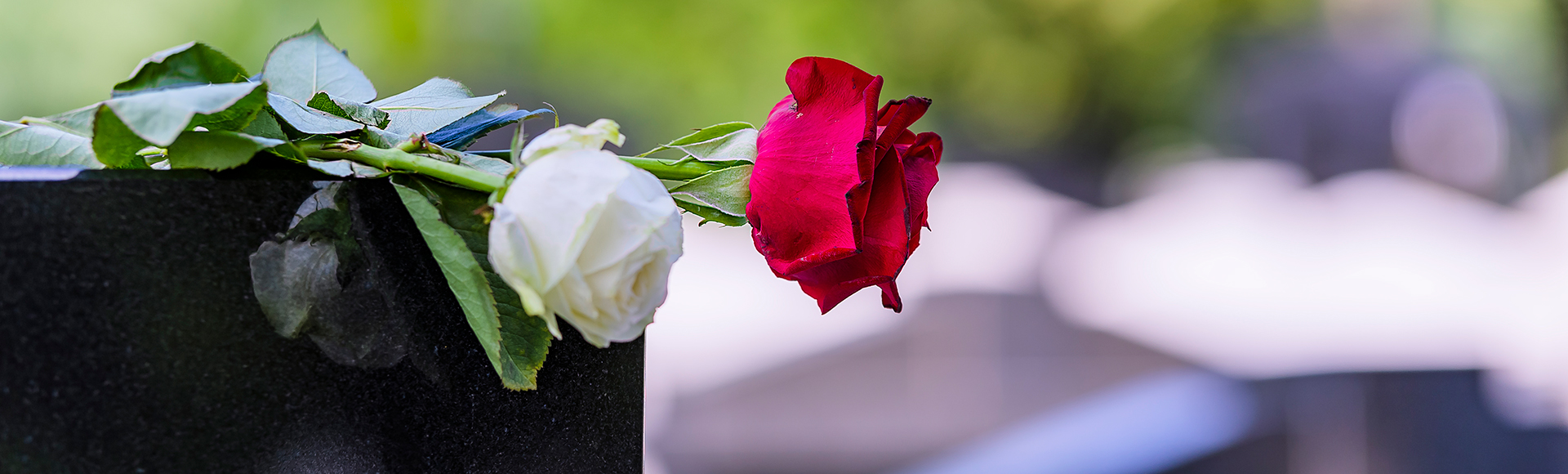 Flower On A Grave In A Cemetery